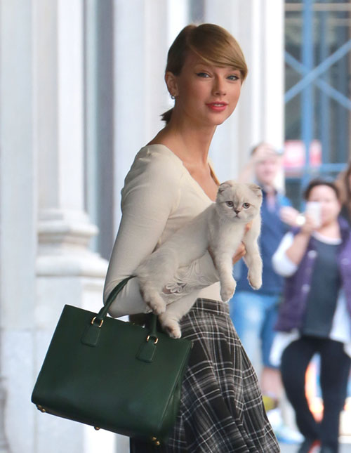 Taylor Swift Pussy Up Close - Dlisted | Taylor Swift Took Her Cat For A Little Walk Because She's Taylor  Swift