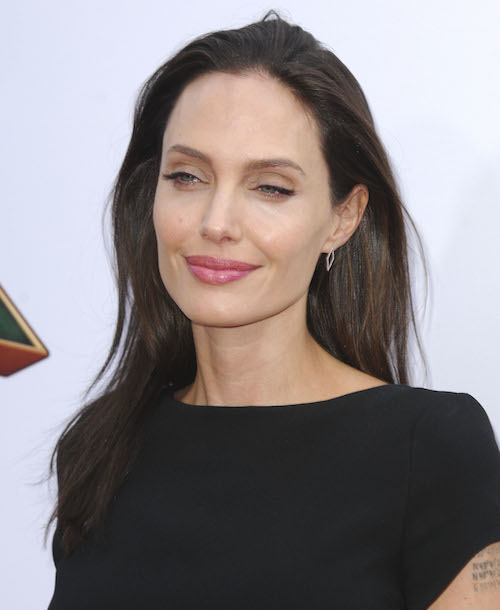 Angelina Jolie Real Pussy - Dlisted | Angelina Jolie Is Plotting To Take Down Brad Pitt