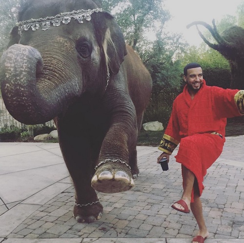 French Montana Isn’t Sorry About Having An Elephant Perform Tricks For His Birthday