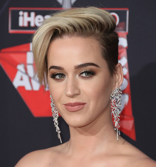 Katy Perry Fucking - Dlisted | Katy Perry Looks For Hot Pictures Of Herself When She Wants To  Feel Better About Herself