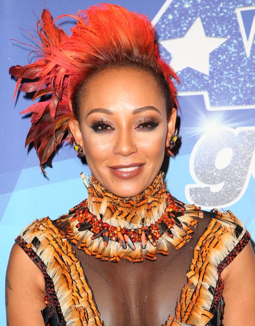 There Are New Details About Mel B’s Never-Ending Nanny Drama