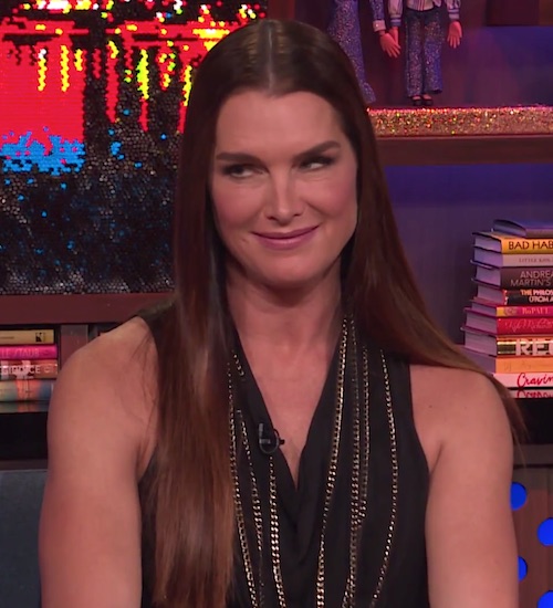 Donald Trump Once Used An Extremely Cheesy Pick-Up Line On Brooke Shields