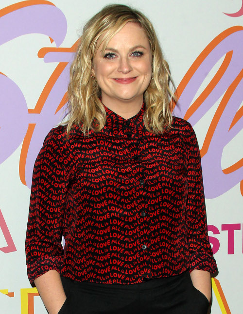 Amy Poehler Got Real When Asked A Bunch Of Inane Questions