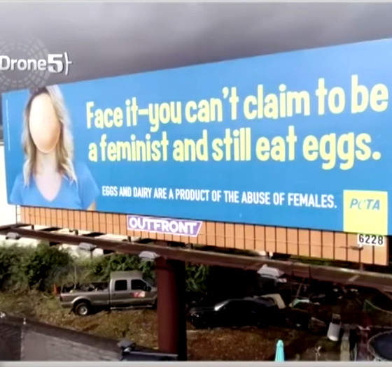 PETA Says You Can’t Be A Feminist And Still Eat Eggs