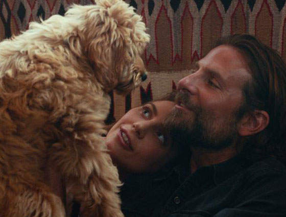 The 2019 Golden Globe Nominations Are Out, And Of Course “A Star Is Born” Got A Bunch