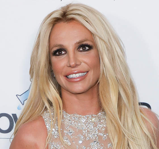 Dlisted | Britney Spears’ Dad Is Suing The Owner Of One Of Her Fansites ...