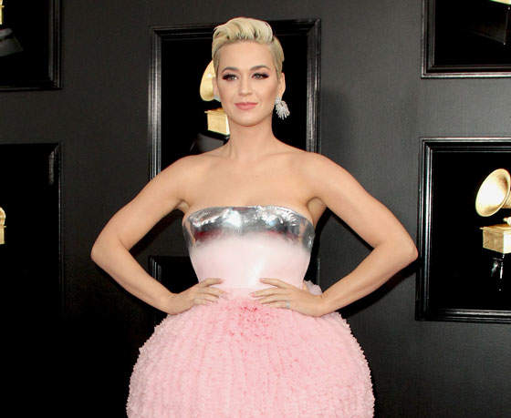 Dlisted | Katy Perry Will Have To Pay Almost $3 Million To The ...