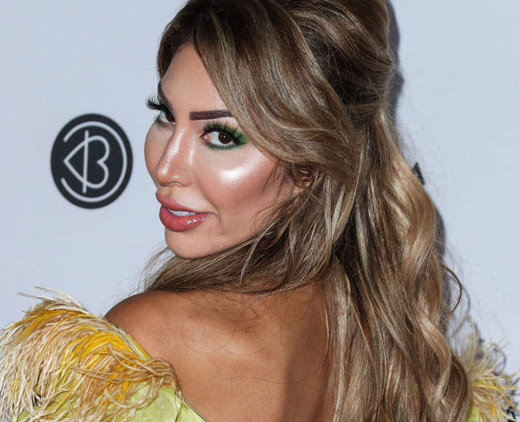 730px x 593px - Dlisted | Farrah Abraham Referred To 9/11 As 7-Eleven