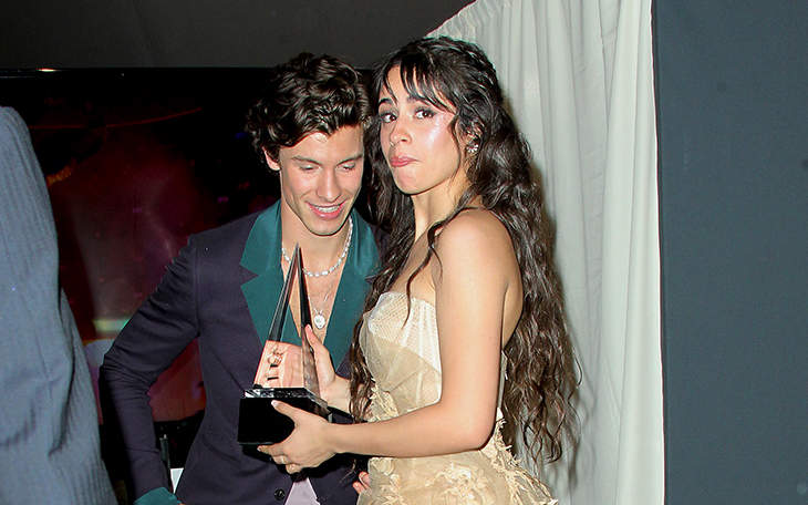 Dlisted Camila Cabello Says She And Shawn Mendes Will Accept