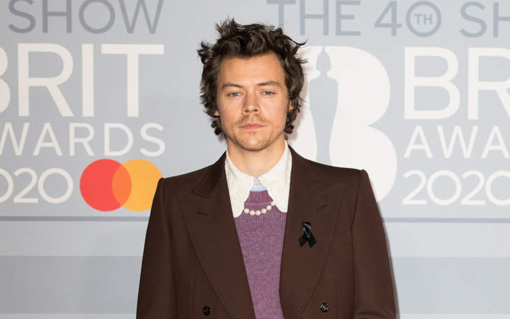 Dlisted | Harry Styles Was Robbed At Knifepoint On Valentine’s Day