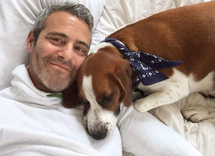Andy Cohen Has Rehomed Wacha, His Dog Of 7 Years