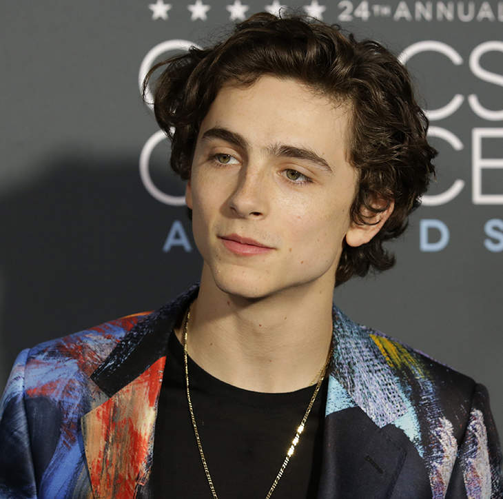 How to get Timothée Chalamet's tousled sex hair