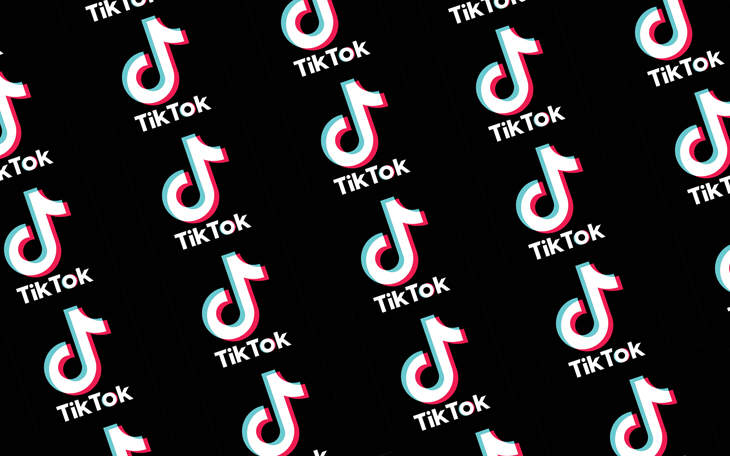 TikTokers Are Worried They’ll Have To Get Real Jobs If TikTok Gets Banned
