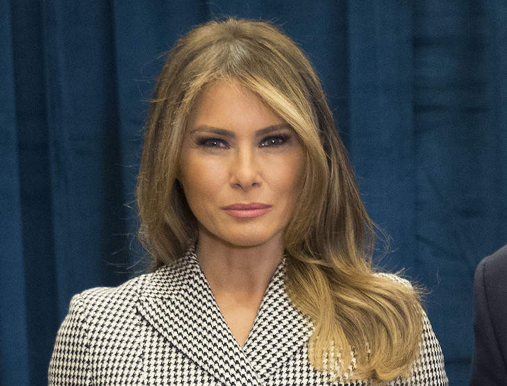 Melania Trump Was Pissed That Stormy Daniels Was Shot By Annie Leibovitz For Vogue