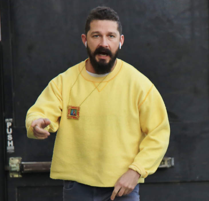 Shia LaBeouf Got Charged With Battery And Petty Theft After……. Wait For It…. Getting Into A Fight