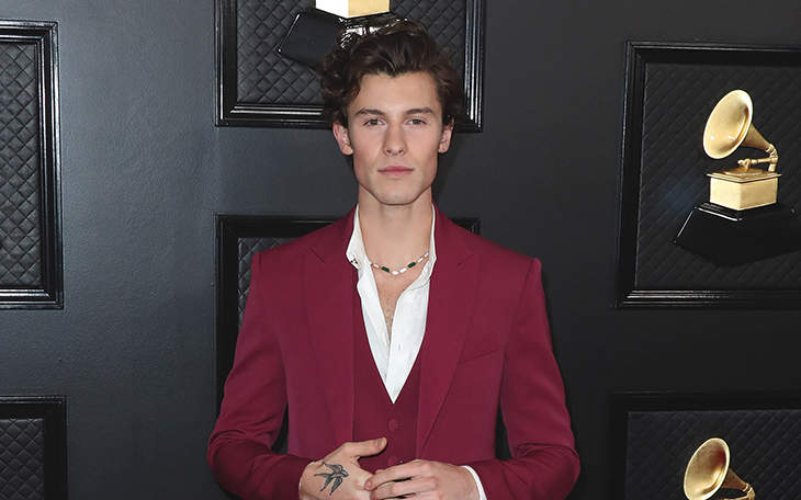 Shawn Mendes Says Those Gay Rumors About Him Are “Frustrating”