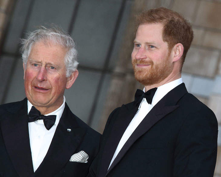 Prince Charles Will Reportedly Not Let Archie Become A Prince As He Plans To Slim Down The Monarchy