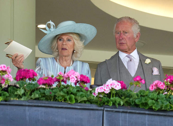 A Royal Expert Thinks Prince Charles Will Allow Archie To Become A Prince So That He Can Make Duchess Camilla A Queen