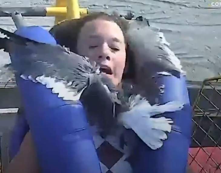 Open Post: Hosted By A Seagull Crash To The Face