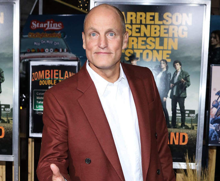 Woody Harrelson Punched A Guy In The Face Because He Wouldn’t Stop Taking Pictures Of Him And His Daughter