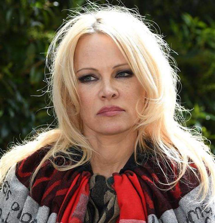 Pamela Anderson Gets Fucked - Dlisted | Those Close To Pamela Anderson Say Hulu's â€œPam & Tommyâ€ Is  Re-Traumatizing Her