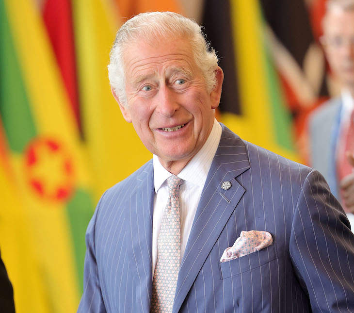 Prince Charles Once Accepted A Briefcase Full Of Cash From A Qatari Politician