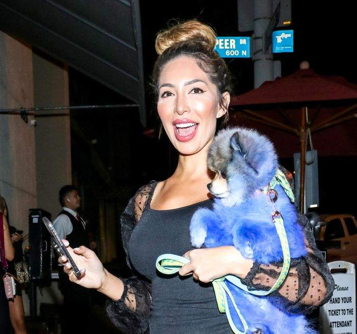 Farrah Abraham Has Been Charged For Slapping A Nightclub Security Guard In January