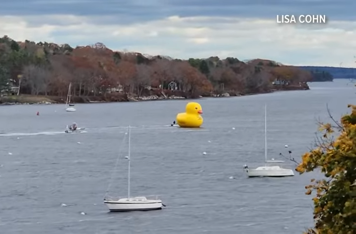 Open Post: Hosted By The Giant Inflatable Duck On The Loose