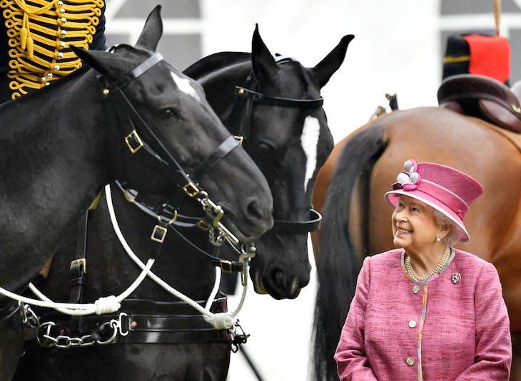 King Charles Will Sell 14 Of THE QUEEN’S Horses