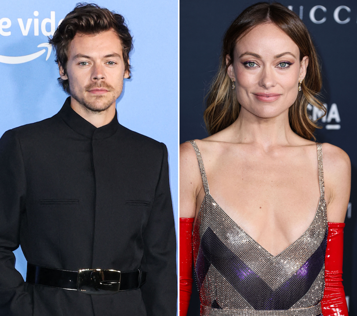 Olivia Wilde Seemingly Wears Harry Styles' T-Shirt After Split