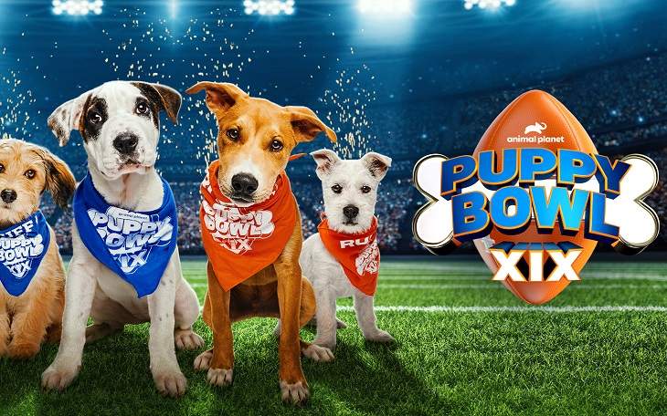 Open Post: Hosted By The Puppies of Puppy Bowl XIX