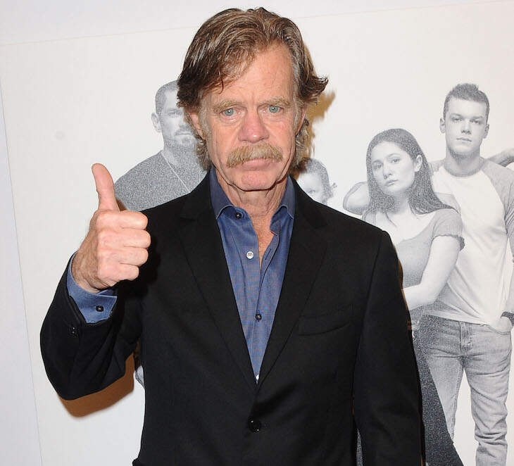 William H. Macy Has Been Sued For $600,000 For Allegedly Cutting Down His Neighbor’s Trees