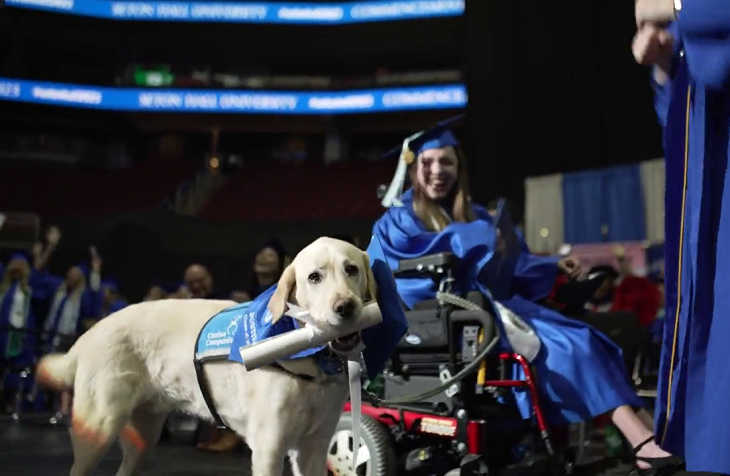 Open Post: Hosted By Justin, The Service Dog Who Got His Diploma