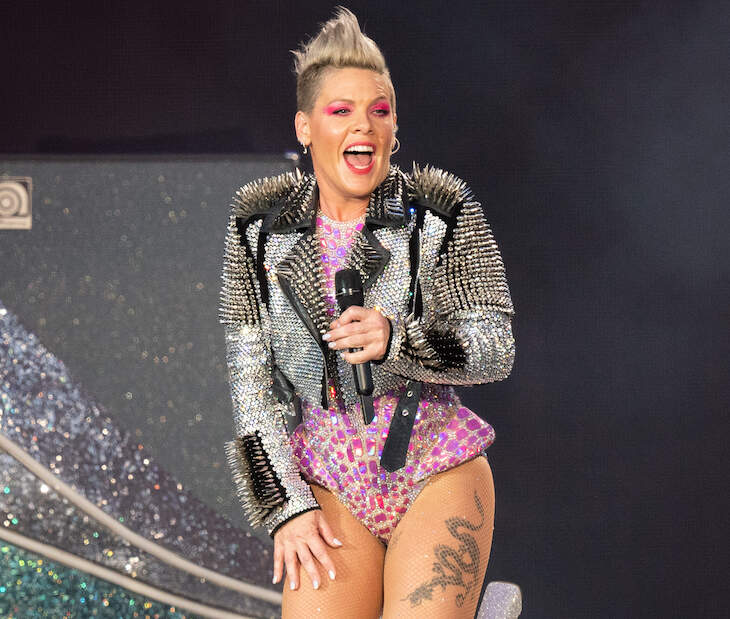 A Fan Tossed A Bag Of Their Mother’s Ashes At Pink During A Concert In London